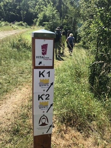 Vital Tour Drei-Burgen-Weg Kirn.jpg