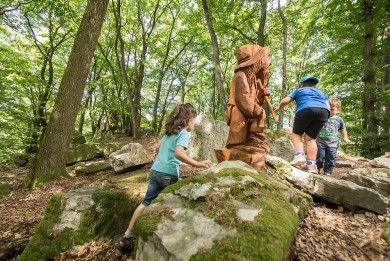Traumschleifchen Zauberwald im Birkenfelder Land an der Nahe.jpg