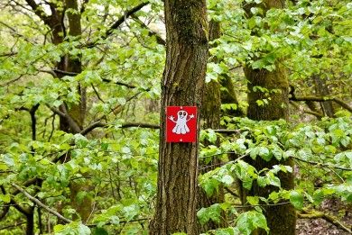 _Findet Lemi_ - Familienwanderweg an der Nahe.jpg