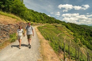 Rotweinwanderweg am Altenahrer Eck.jpg