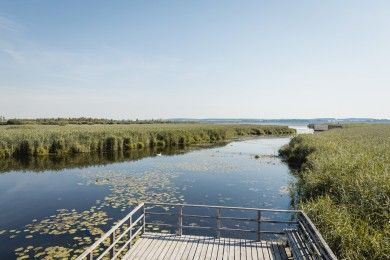 Bad-Buchau_Oberschwaben_Federsee_(c)_Stefan-Kuhn-Photography.jpg