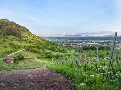wandern tübingen.jpg