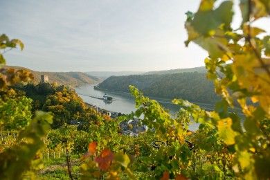 Rheinsteig_ Blick auf die Pfalzgrafenstein.jpg