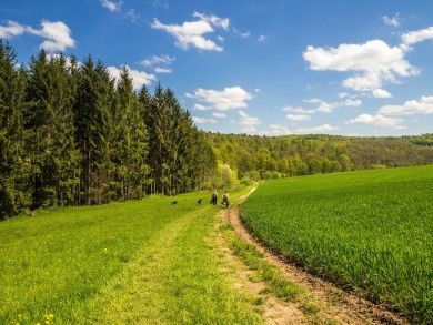 landscape-2168897_1280.jpg