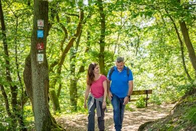 Wanderer im Wald bei Bad Breisig.jpg