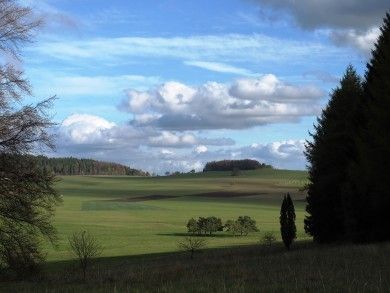 wacholder.jpg