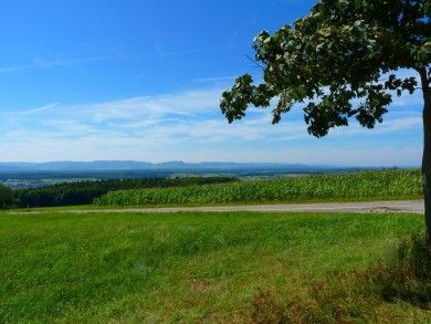 landscape-54712_1280.jpg