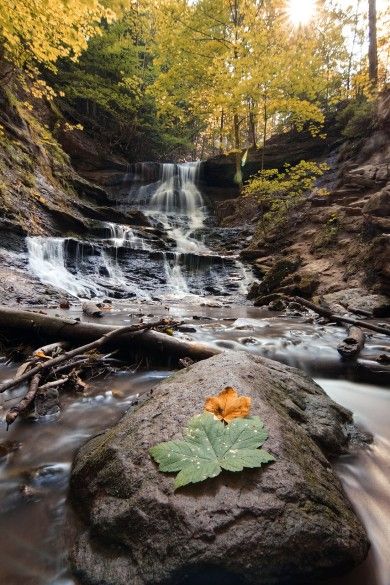 waterfall-4961704_1280.jpg