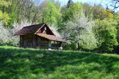 wooden-hut-5079134_1280.jpg