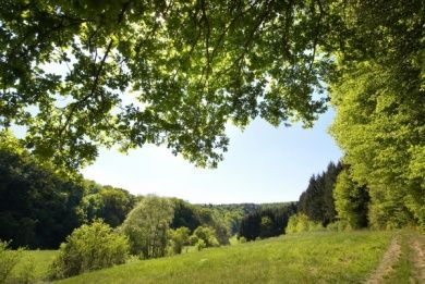 Westerwaldsteig - von Herborn nach Bad Hönni.jpg