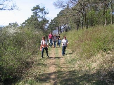 Panoramaweg Perl.jpg