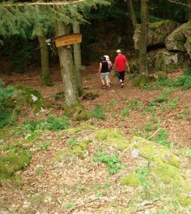 Traumschleife Ruwer-Hochwald Schleife