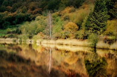 Eifel Quellen.jpg