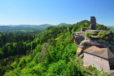 Burg Altdahn Pfälzerwald.jpg