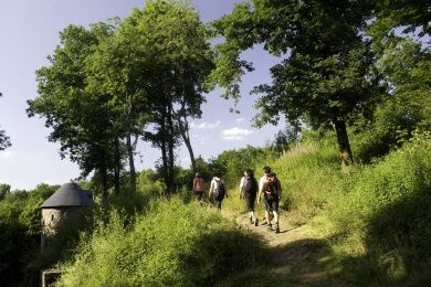 Saar-Hunsrück-Steig.jpg