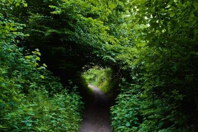 hohlweg.jpg