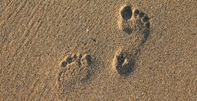 barfußpfad.jpg