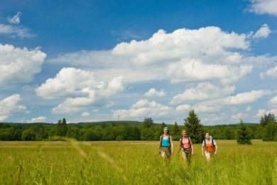 soonwald.jpg