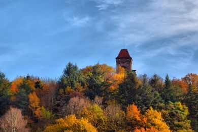 berwartstein-3808535_1280.jpg