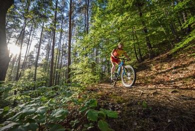 mtb pfälzerwald.jpg