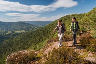 dimbacher buntsandstein höhenweg.jpg