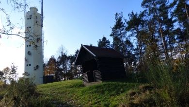 Südliche_Weinstrasse_RS8936_Stäffelsbergturm-scr.jpg