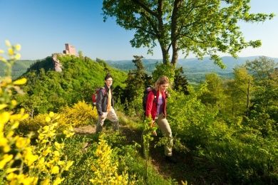 Burg Trifels.jpg
