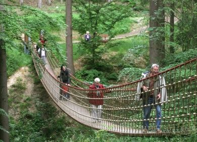 Erlebnispfad Binger Wald