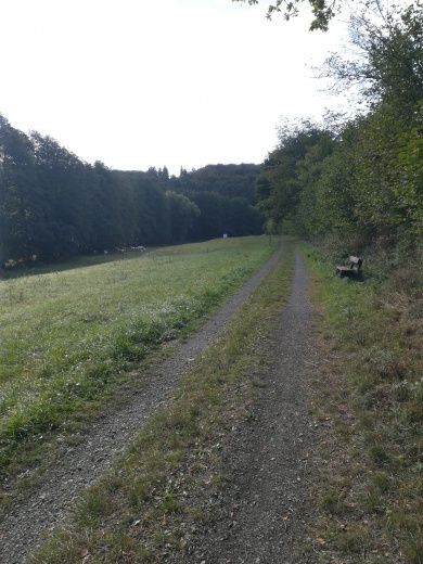 dörsbach2.jpg